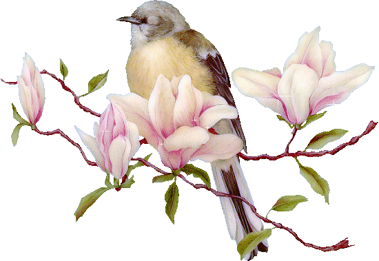 آموزگار مهربانی